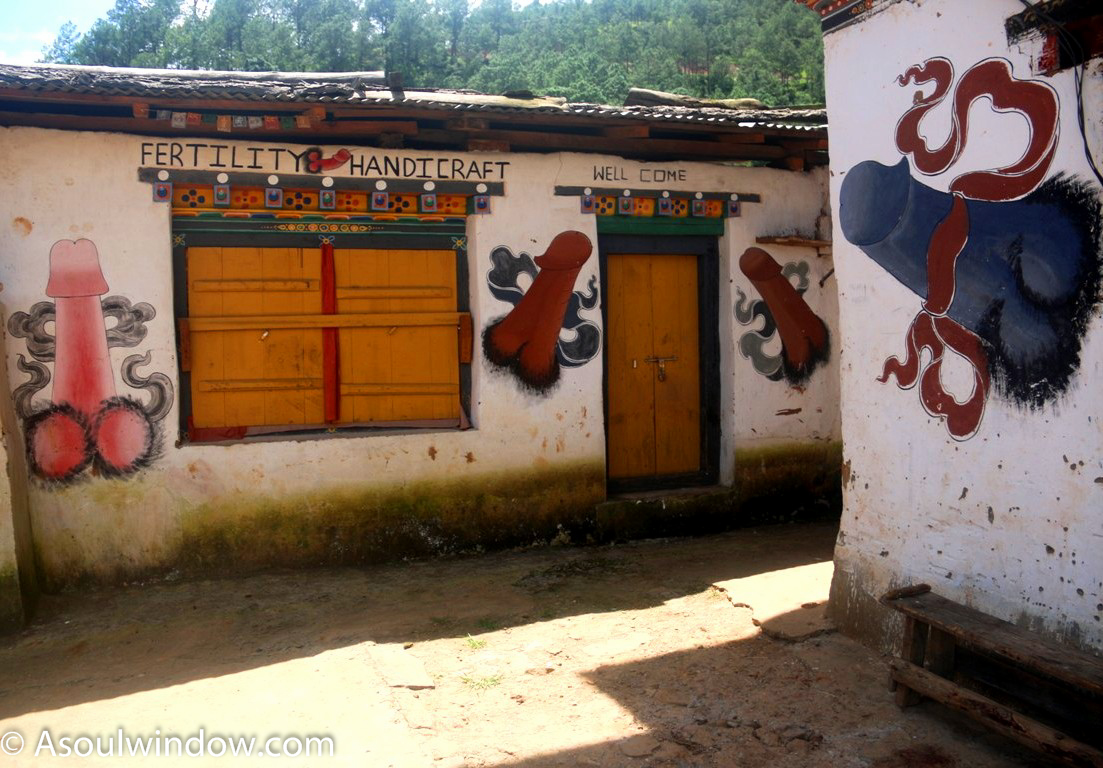 WHY IS EVERYONE SO CHILLED OUT AT PENIS ART ON BHUTAN WALLS CHIMI