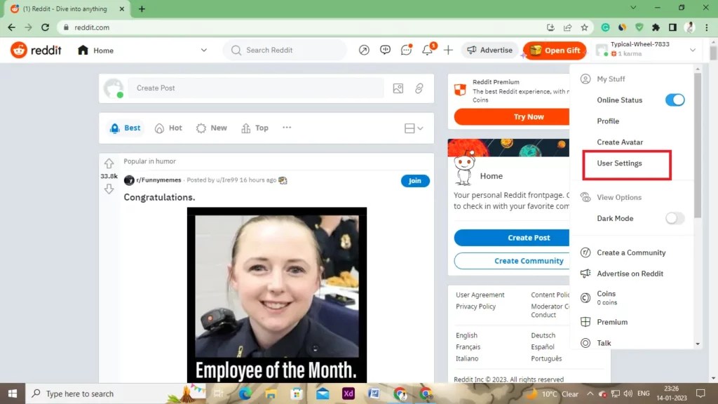 How to Delete Reddit Account on App and Browser? Aspartin