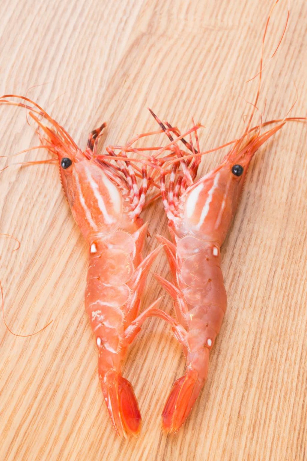 Can You Eat Raw Shrimp (Is it Safe to Eat Uncooked Shrimp) A Spectacled Owl