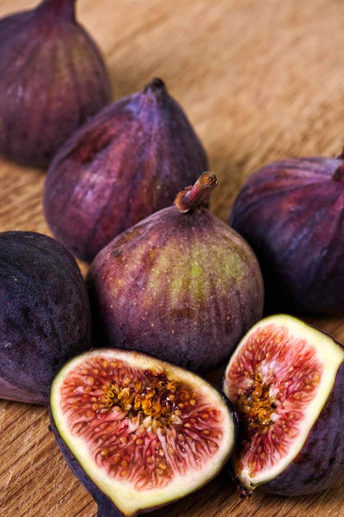 Are Figs Vegan (Debates Around Wasps and Fig Fruits) A Spectacled Owl