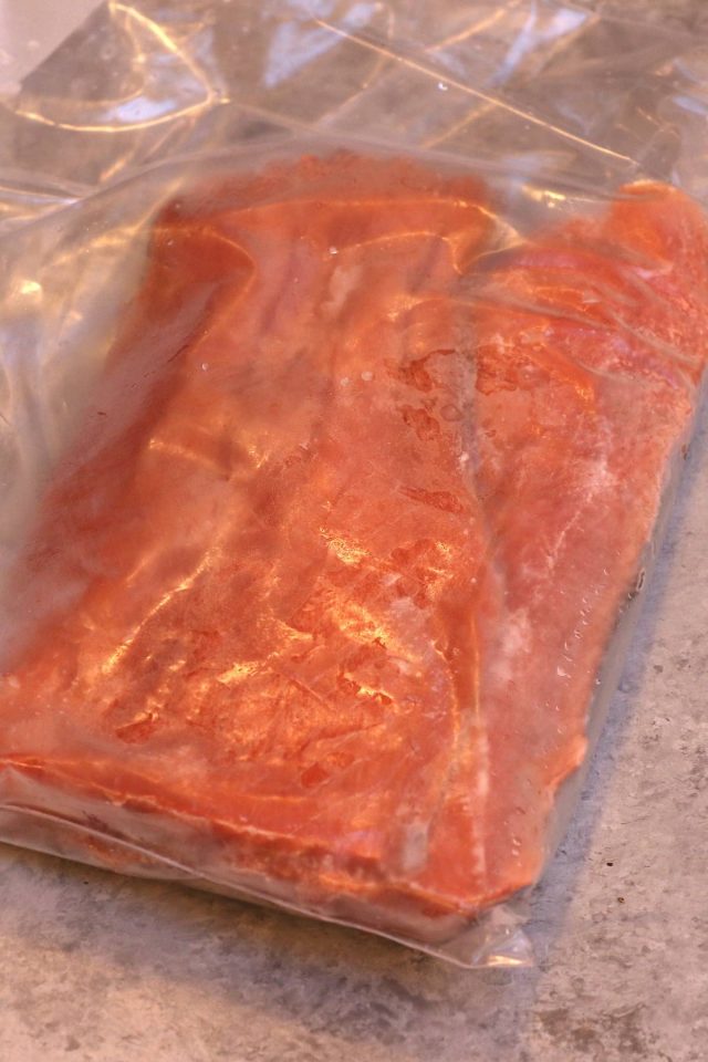 Can You Freeze Salmon (and Refreeze Salmon) A Spectacled Owl