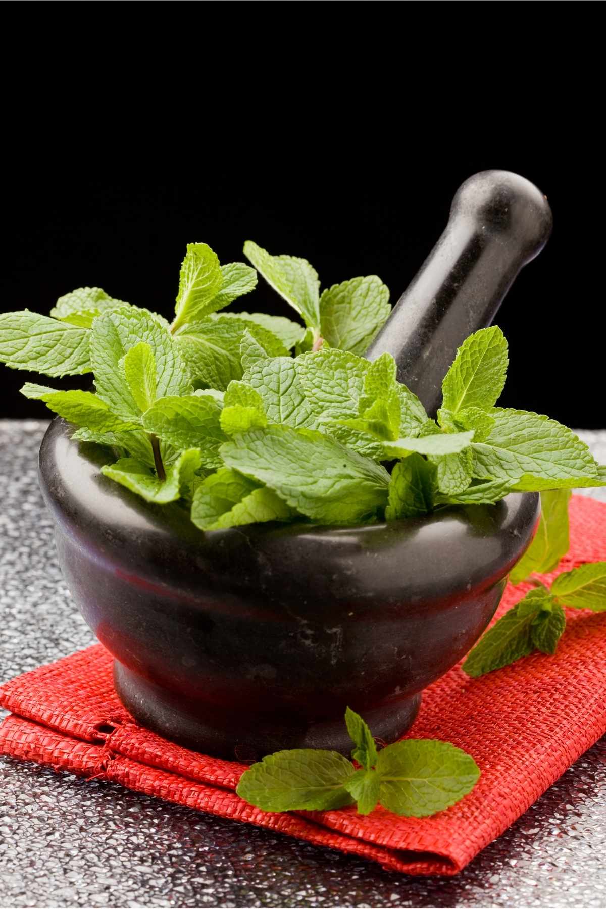 11 Best Dill Substitutes (Substitutes for Fresh Dill Weed and Dill