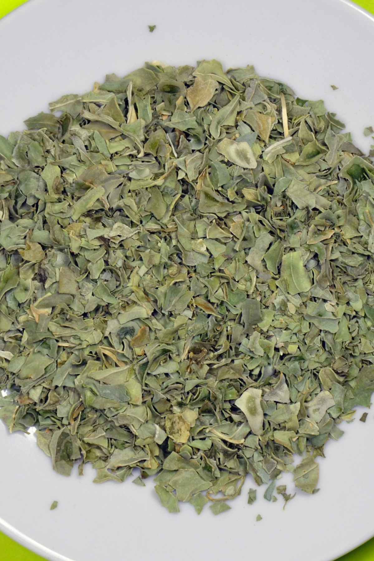 Parsley Substitutes A Spectacled Owl