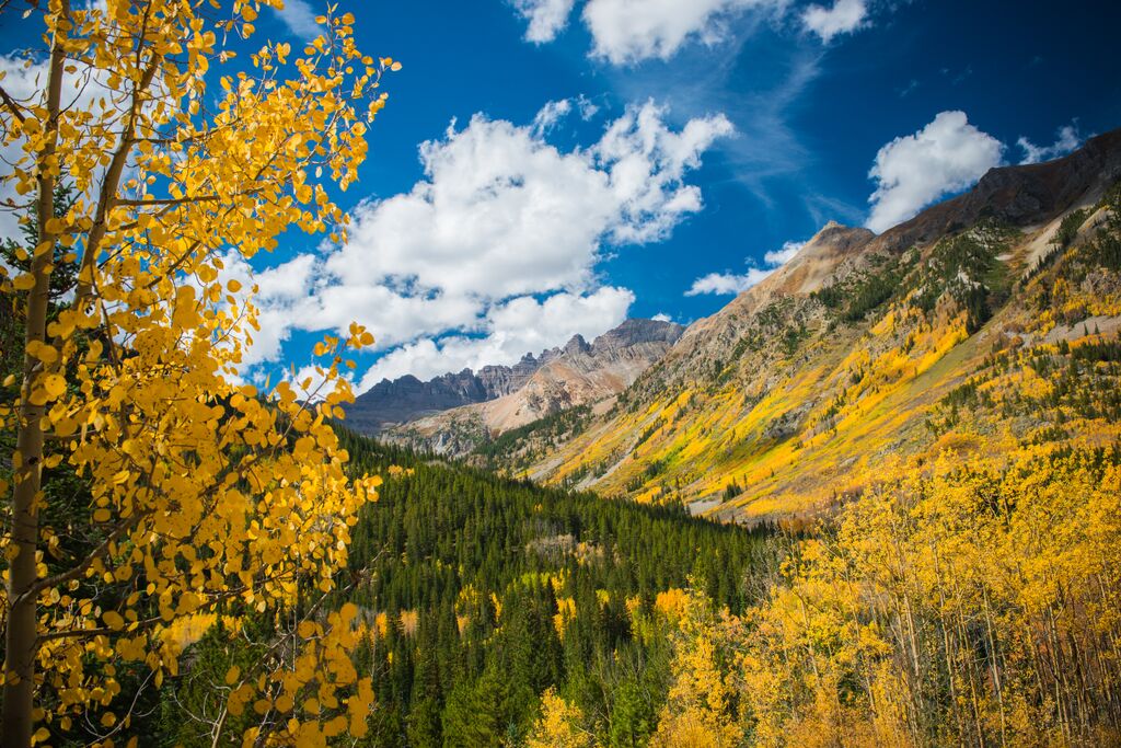 13 Reasons to Visit Aspen in Autumn Aspen CO Chamber