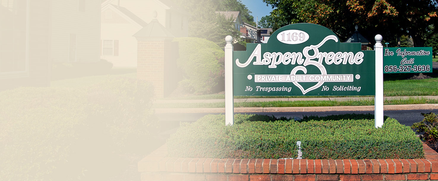 Homepage Aspen Greene