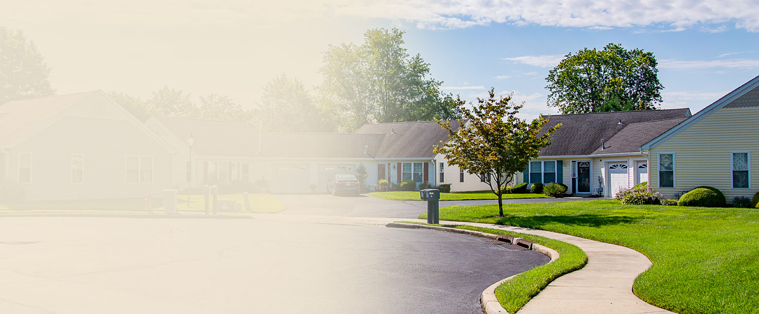 Homepage Aspen Greene