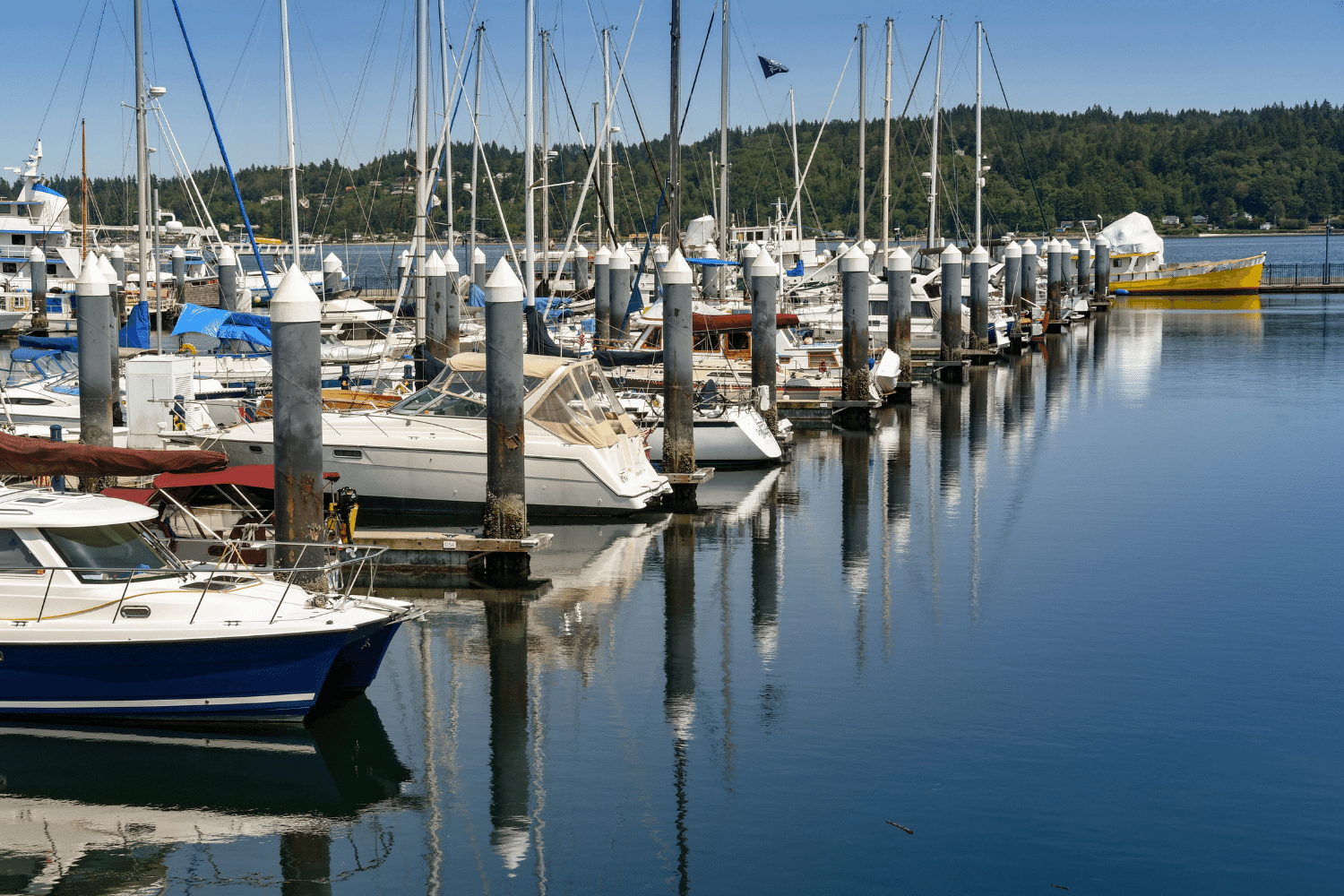 Aspen NW Real Estate and Property Management