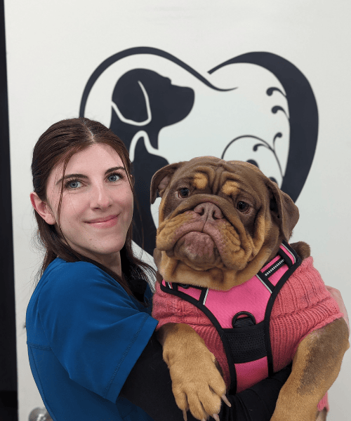 Veterinarian In Lakeside, AZ | Aspen Ridge Animal Hospital