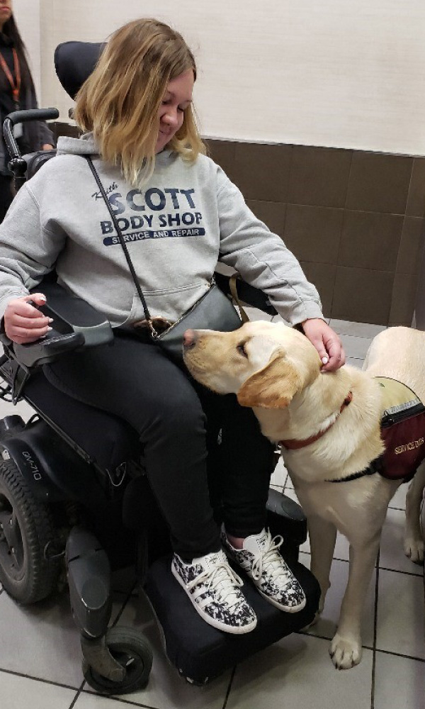 mobilitydog62 Aspen Service Dogs