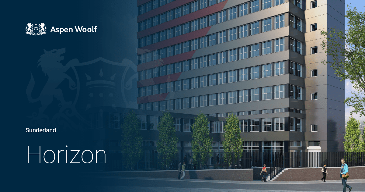 Horizon Property for Sale in Sunderland Award Winning Agency