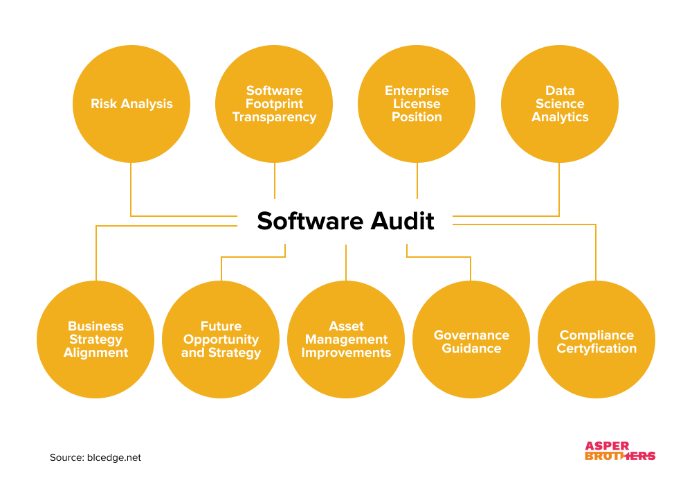 What is a Software Audit? Why Should You Repeat This Process Regularly