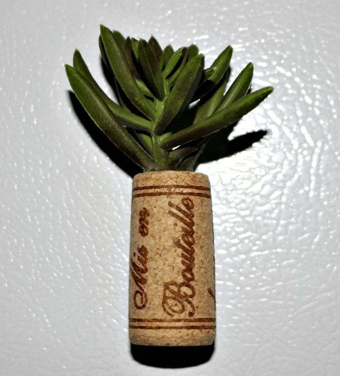 Wine Cork Holders and DIY Crafts Aspiring Winos
