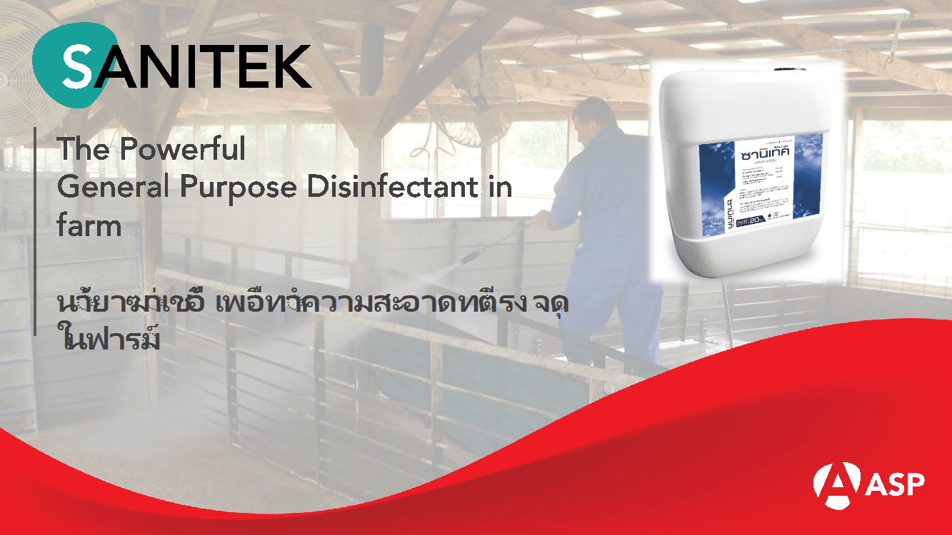 The Powerful General Purpose Disinfectant in farm ASP Thailand