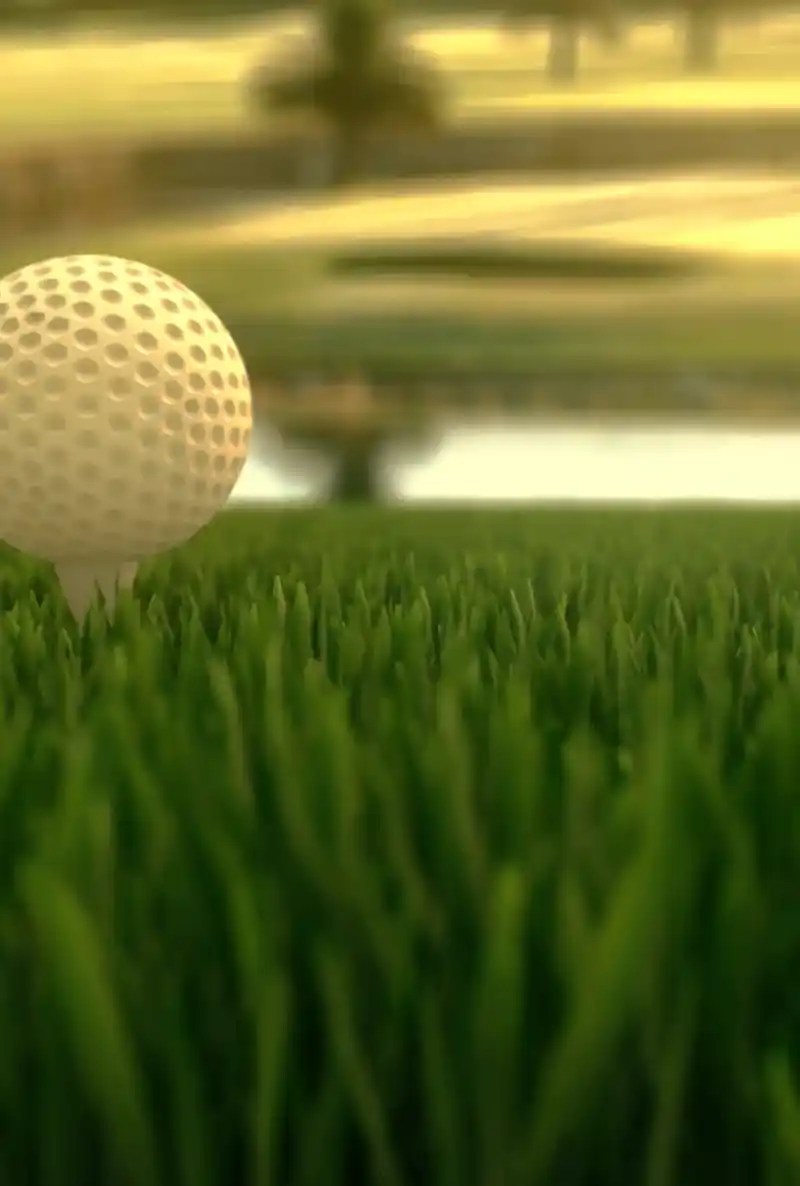 Assembled Golf Professional Simulator Installation