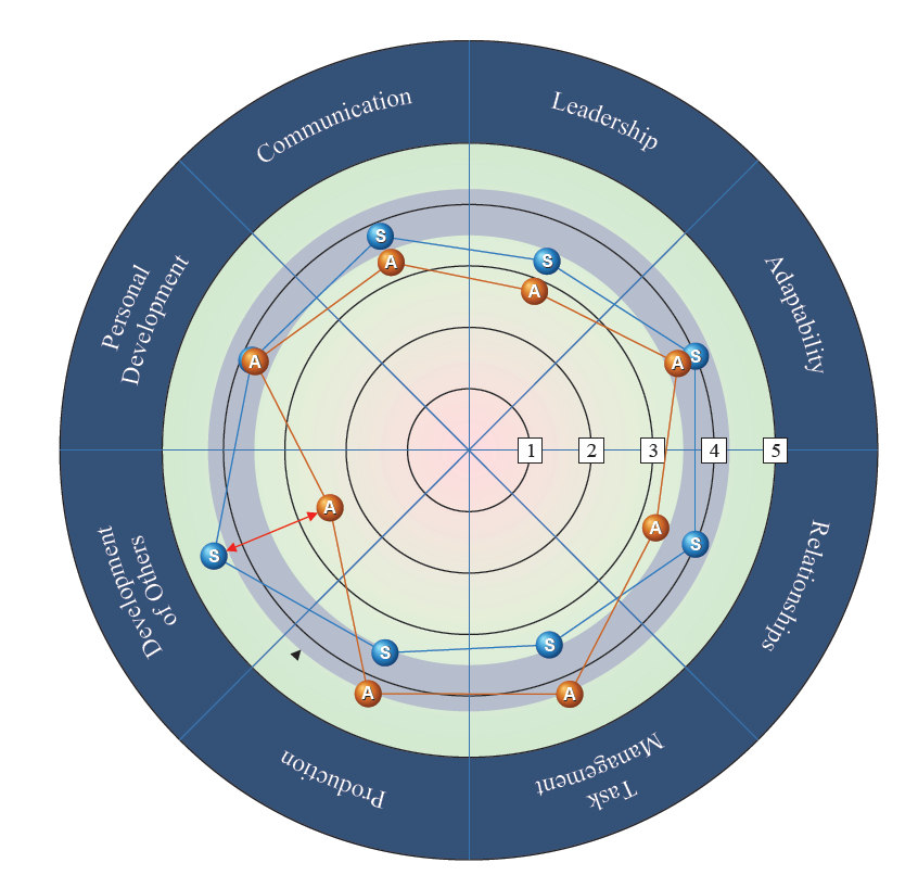 360 Assessment Leaders