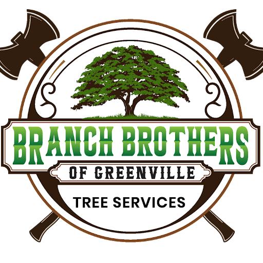Brandfetch Branch Brothers of Greenville Easley SC Logos & Brand Assets