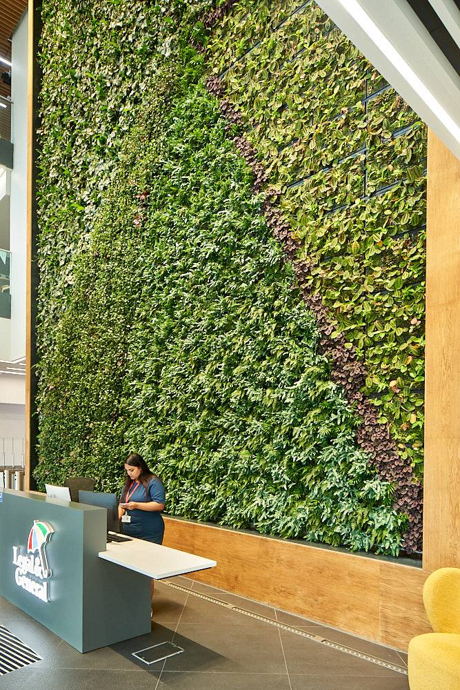 Legal & General Wales HQ Reception Living Wall Biotecture Limited