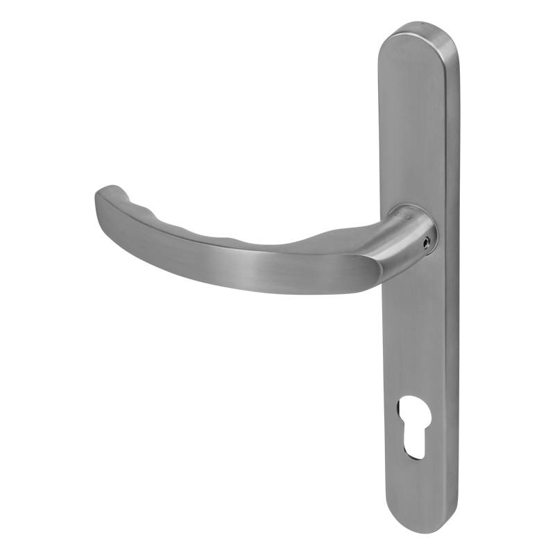 Stainless Steel Ergonomic External Lever Door Handle on Backplate BLU