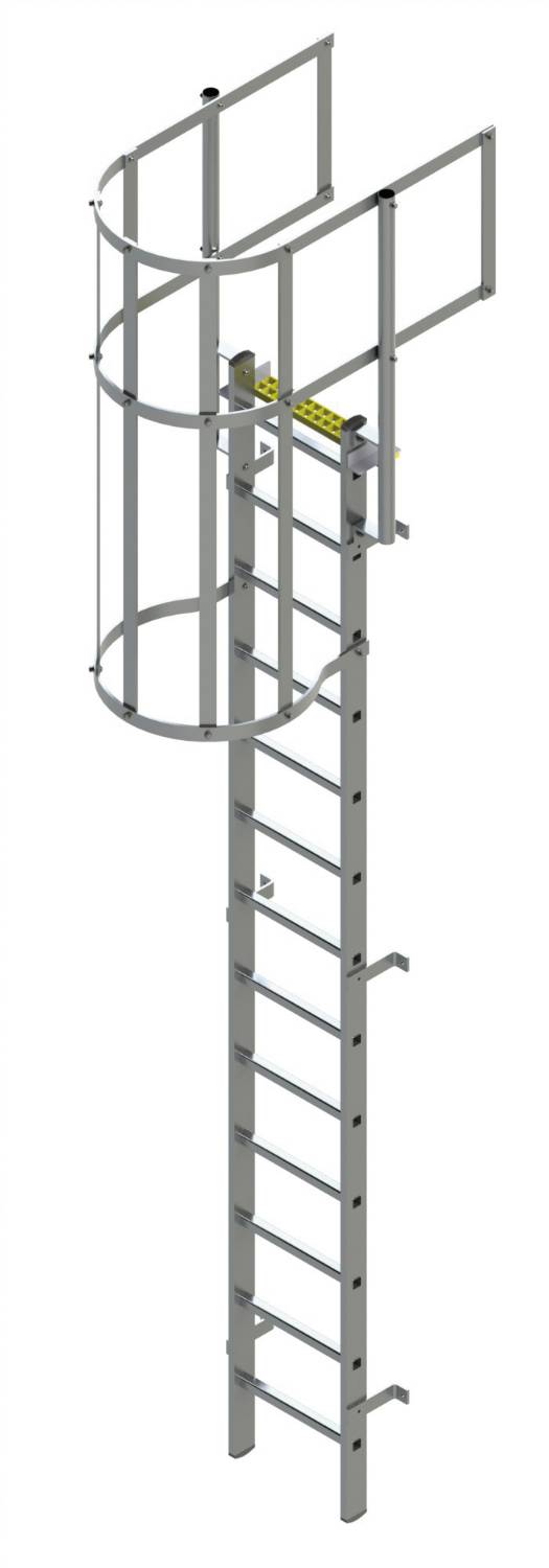 BLWG Fixed Ladder with Safety Cage + Guard Rail Bilco UK NBS BIM