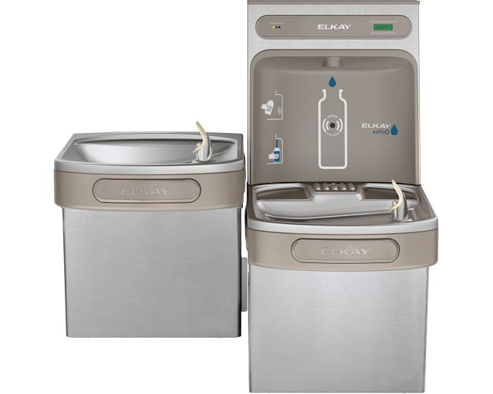Bottle Filler / Drinking Fountain BiLevel Combination Unit Elkay