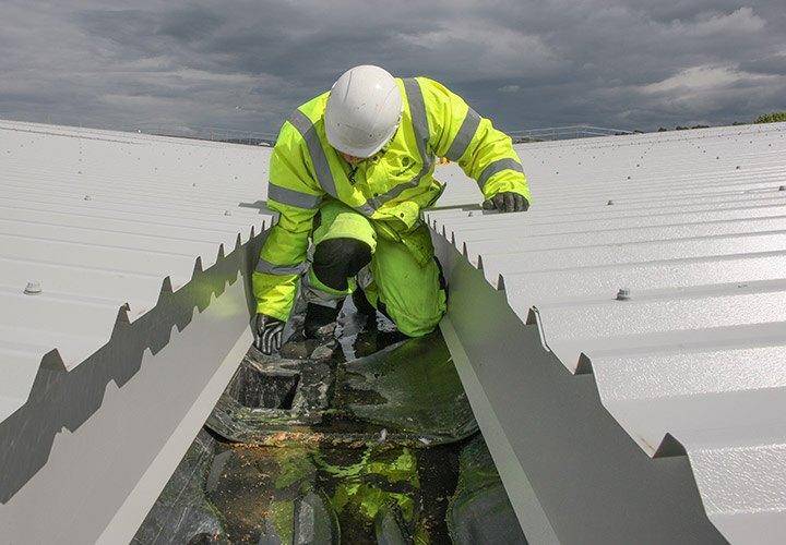 The Real Pet Food Company, Flint HD Sharman Ltd. NBS Source