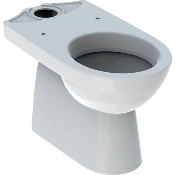 Selnova floorstanding WC for closecoupled exposed cistern, washdown