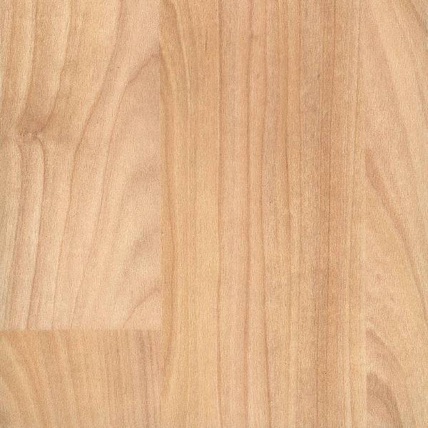 Taraflex® MultiUse Sheet New Sports Flooring Gerflor Flooring