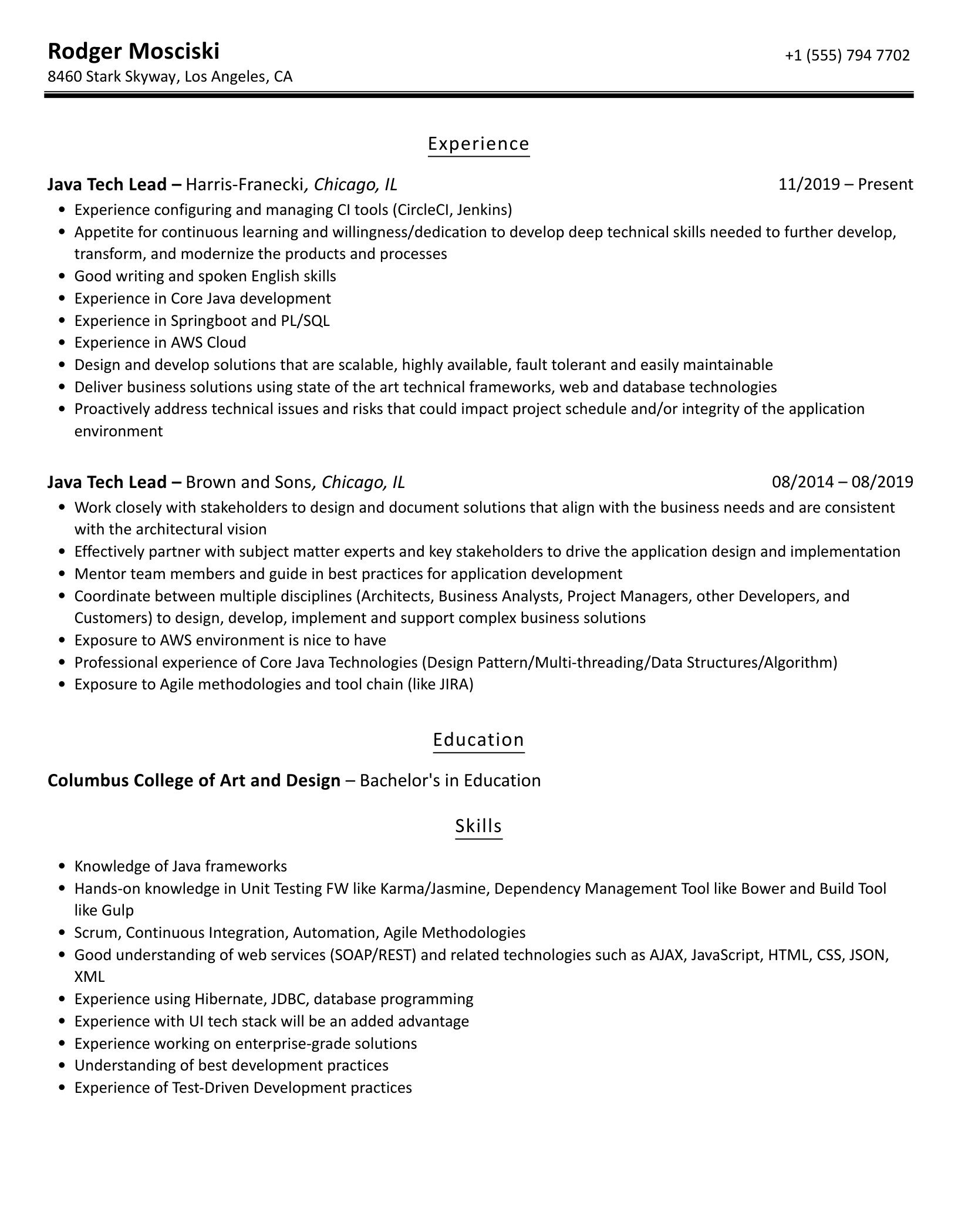 Java Tech Lead Resume Samples Velvet Jobs