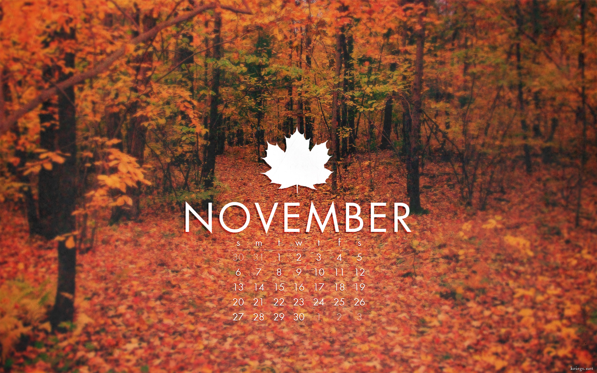 November Facts 7 Interesting, Cool & Funny Facts