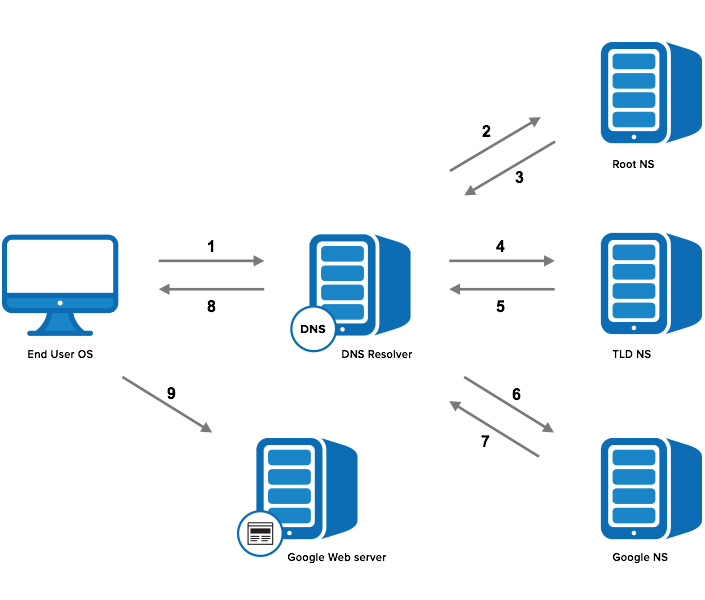 DNS Lookup How a Domain Name is Translated to an IP Address