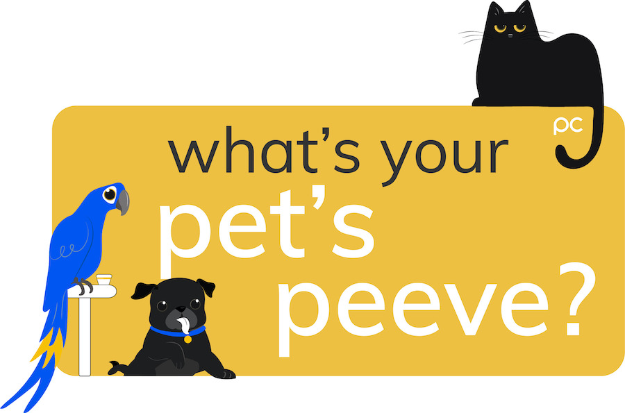 What's Your Pet's Peeve?