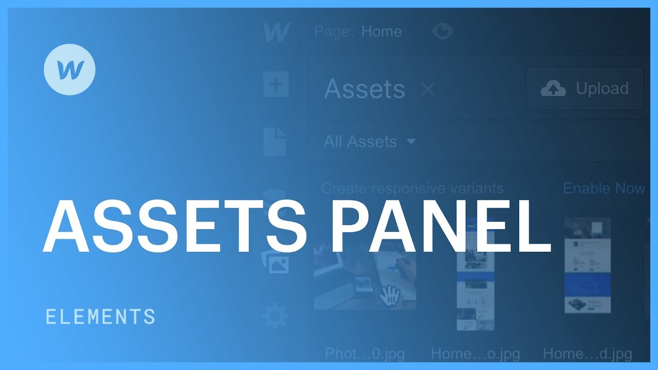 Assets panel flow University