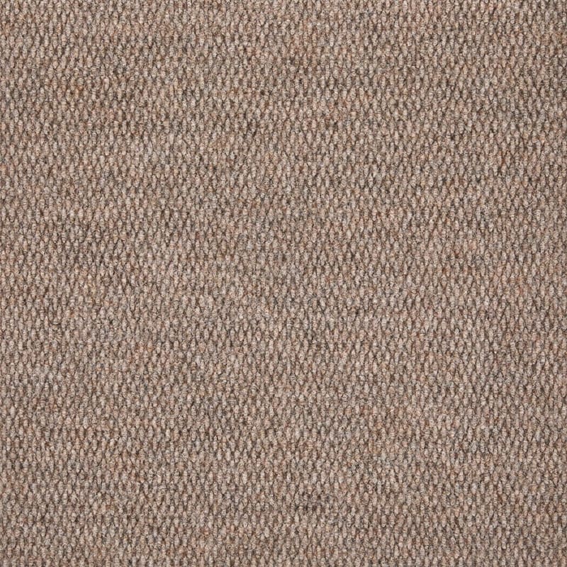 Berber Point 650 Carpet — Broadloom & Carpet Tile Belgotex