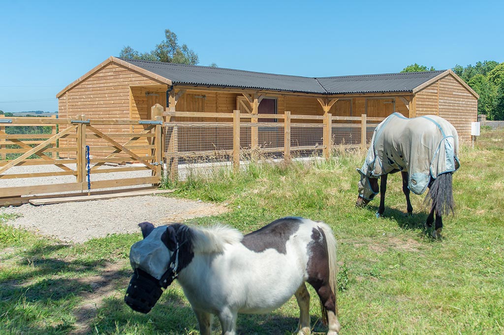 What size stable does my horse need?