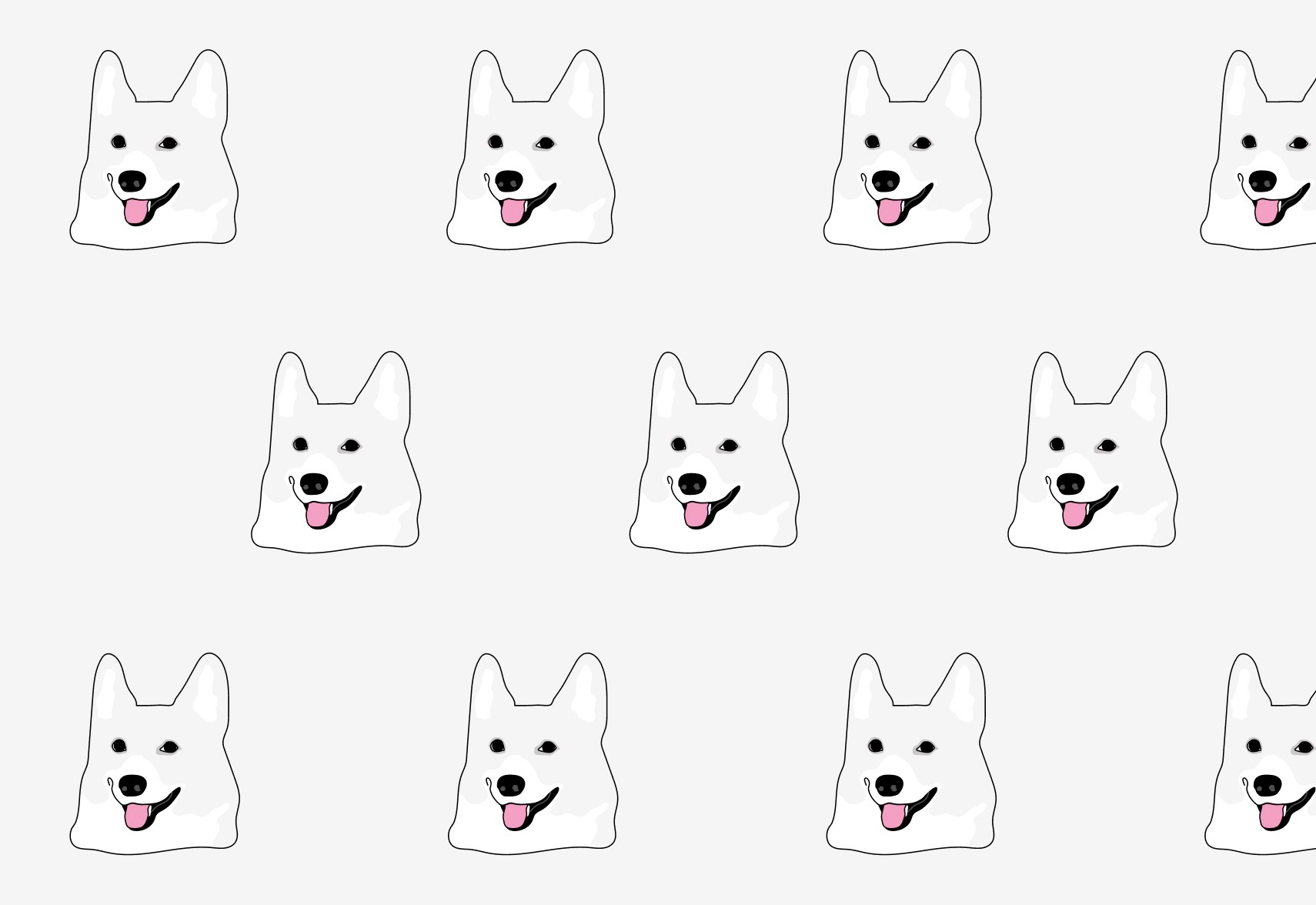 Pet Insurance Fetch Pet Insurance