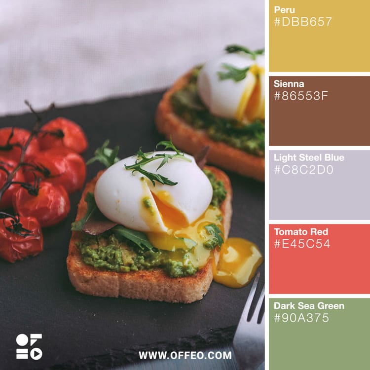 25 Vibrant Food Color Palettes for Food Photography OFFEO
