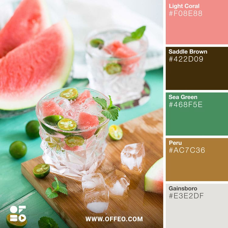 25 Vibrant Food Color Palettes for Food Photography OFFEO