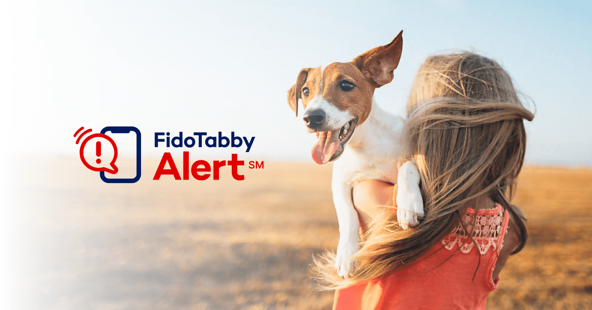 FidoAlert Amber Alert for Pets(01)
