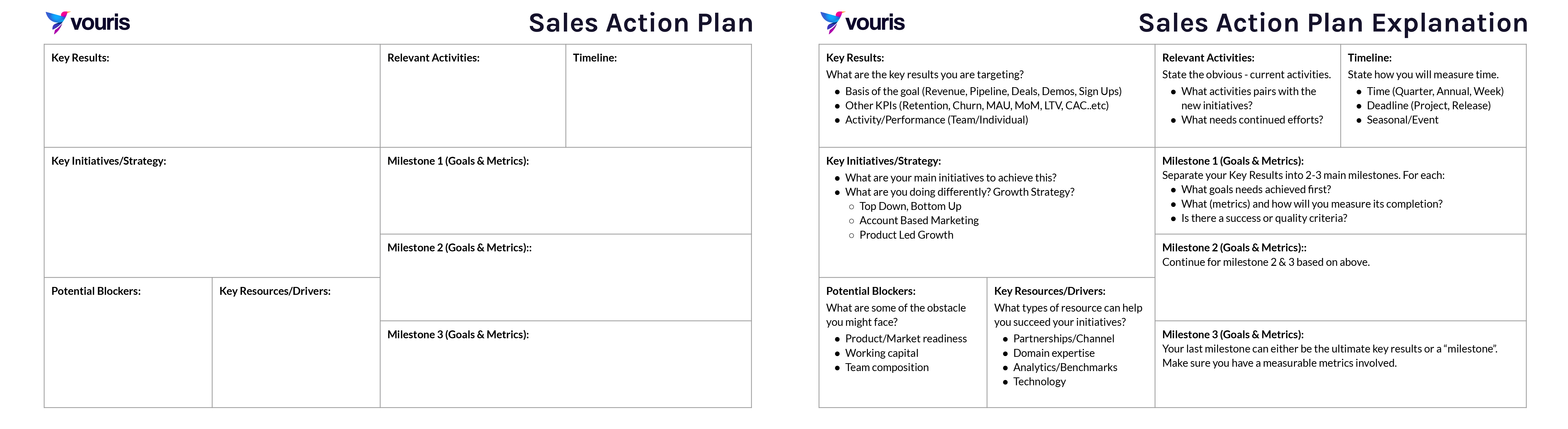 Individual Action Plan Template