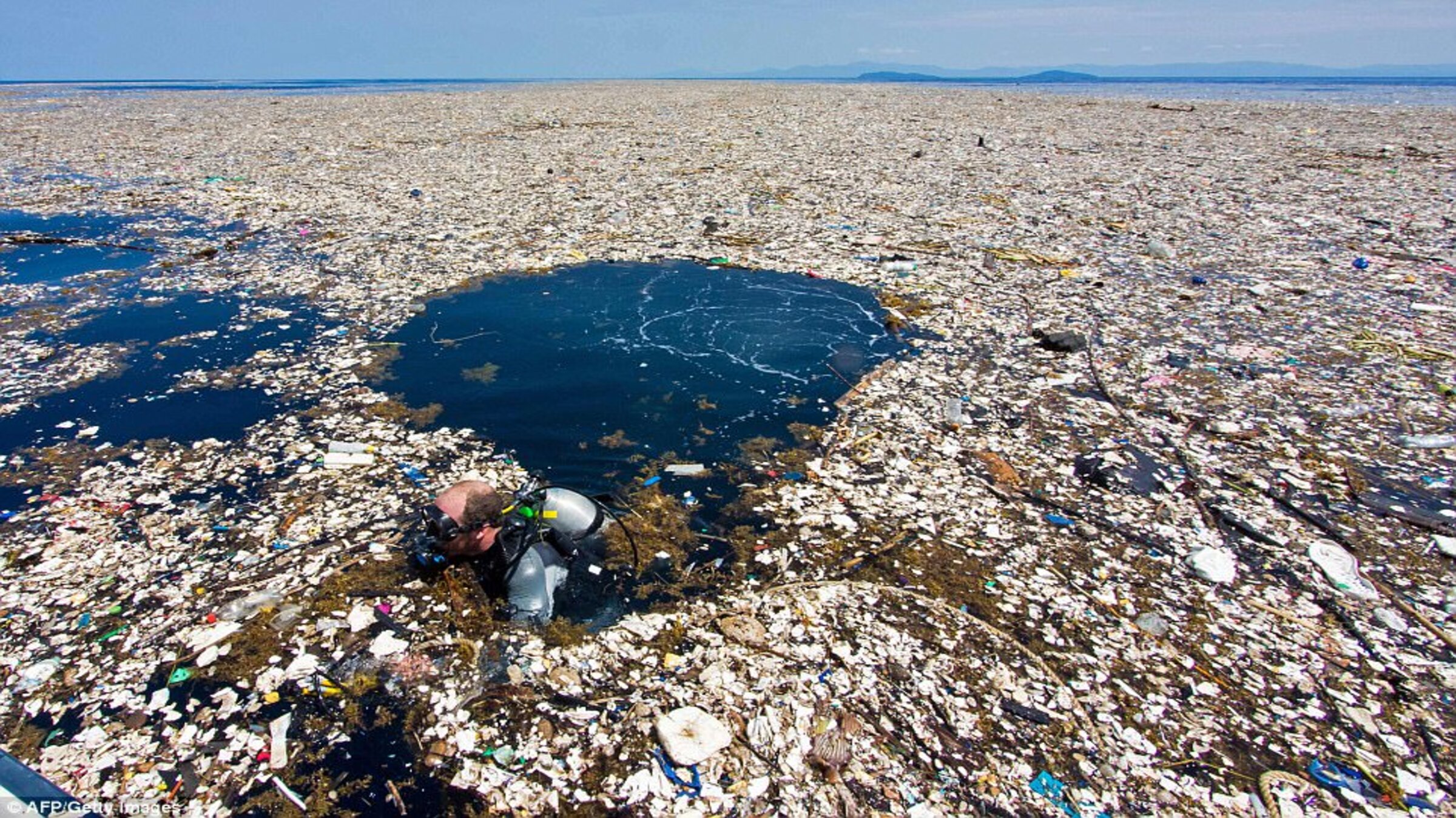 How Do Plastics Enter our Oceans? Purpose Rising Blog