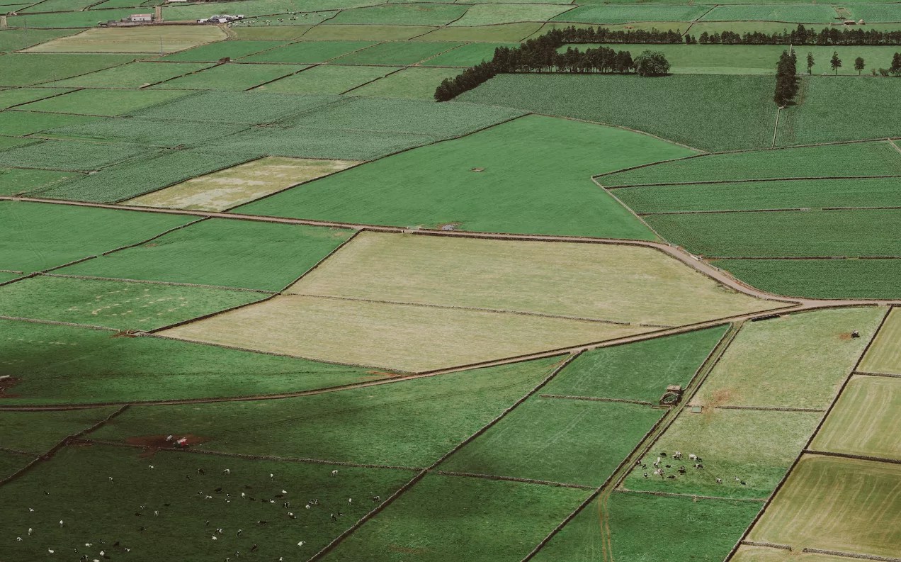 Land Value Estimator Know the True Value of Your Property