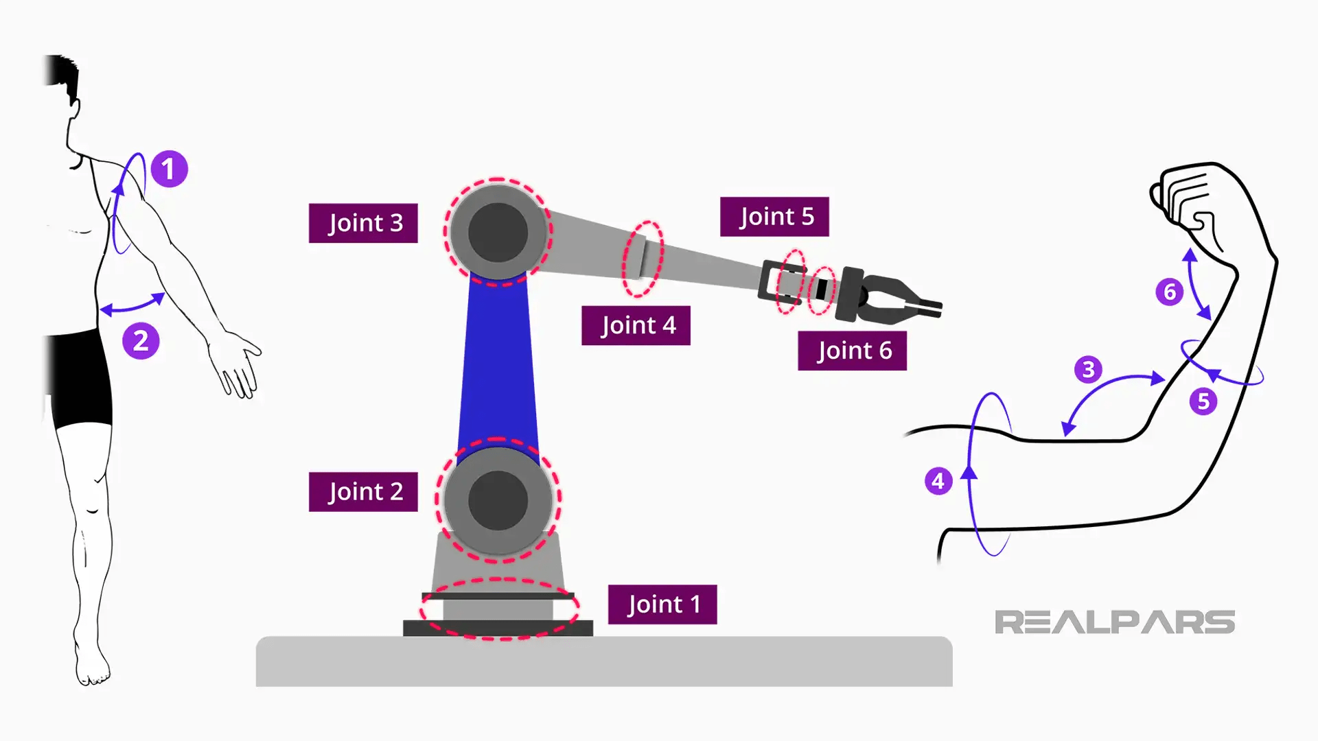 What is a 6Axis Robot? RealPars