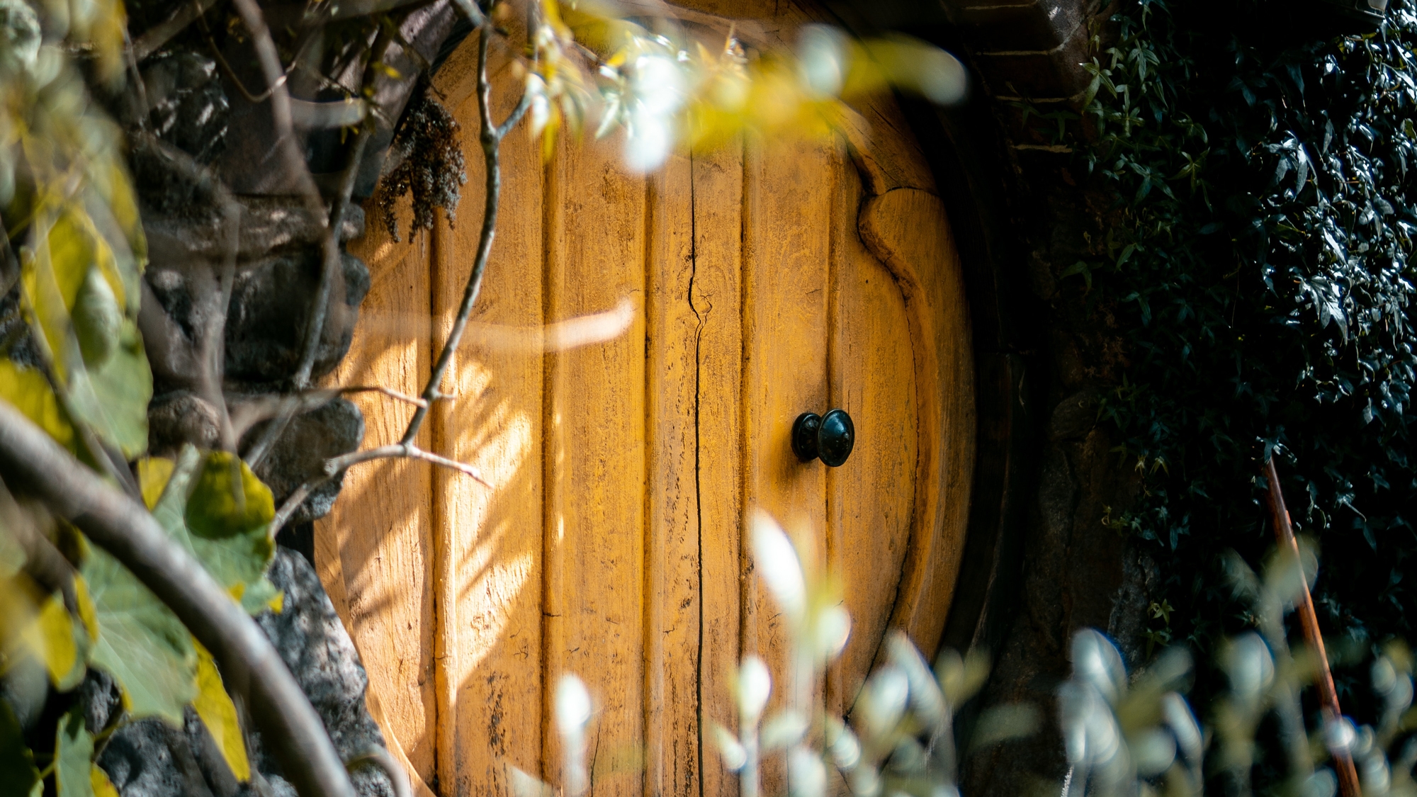 How to Host a Party for Hobbit Day