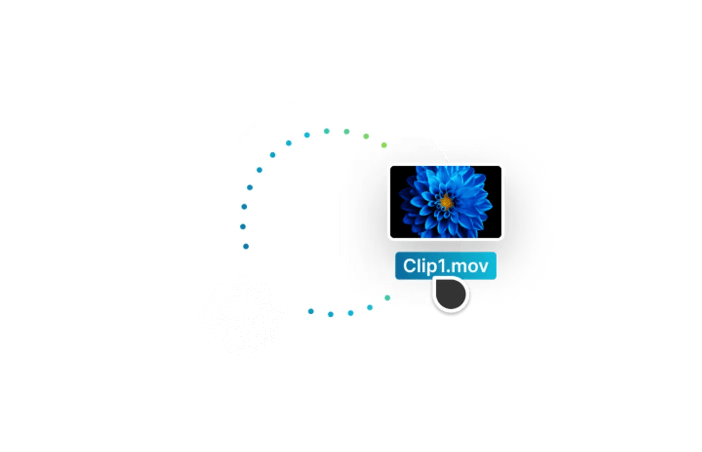 Online Video Background Remover InVideo