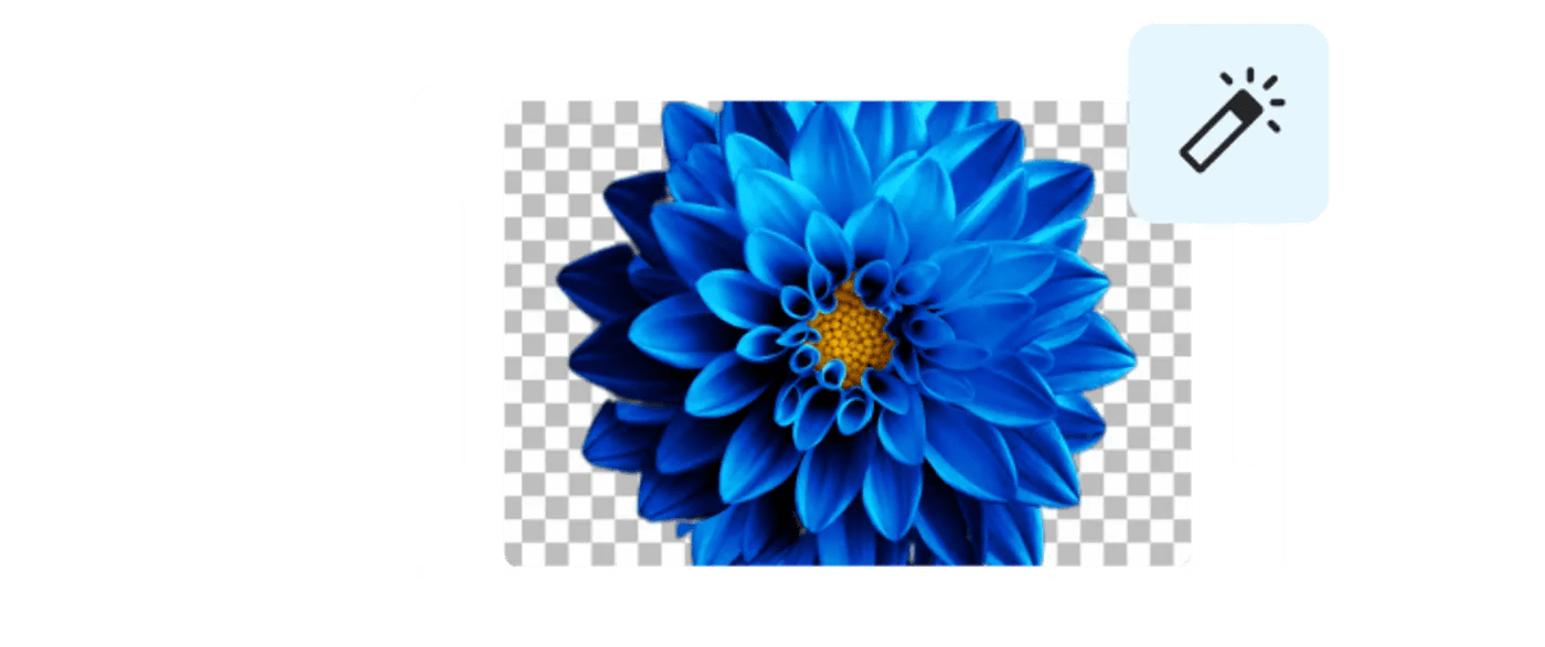 Online Video Background Remover InVideo