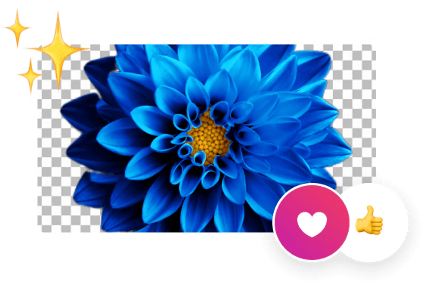 Online Video Background Remover InVideo