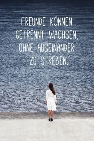 Freundschaftssprüche 480_x_320_webp