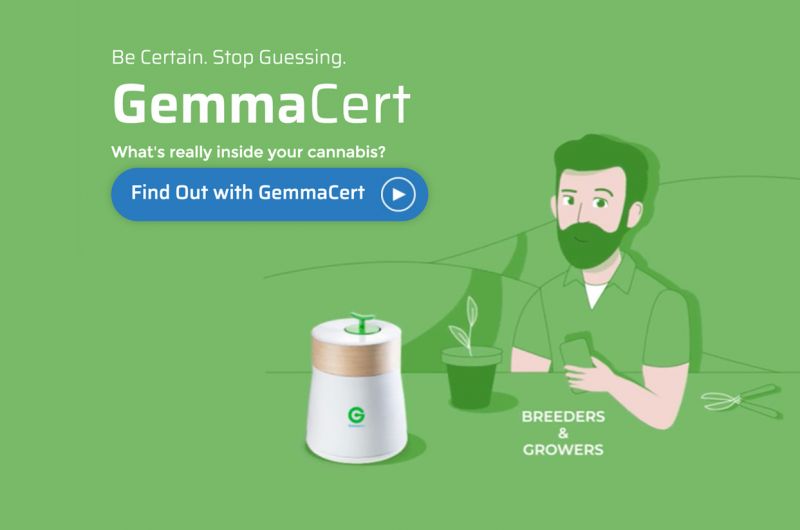 Gemmacert e-commerce by Moburst