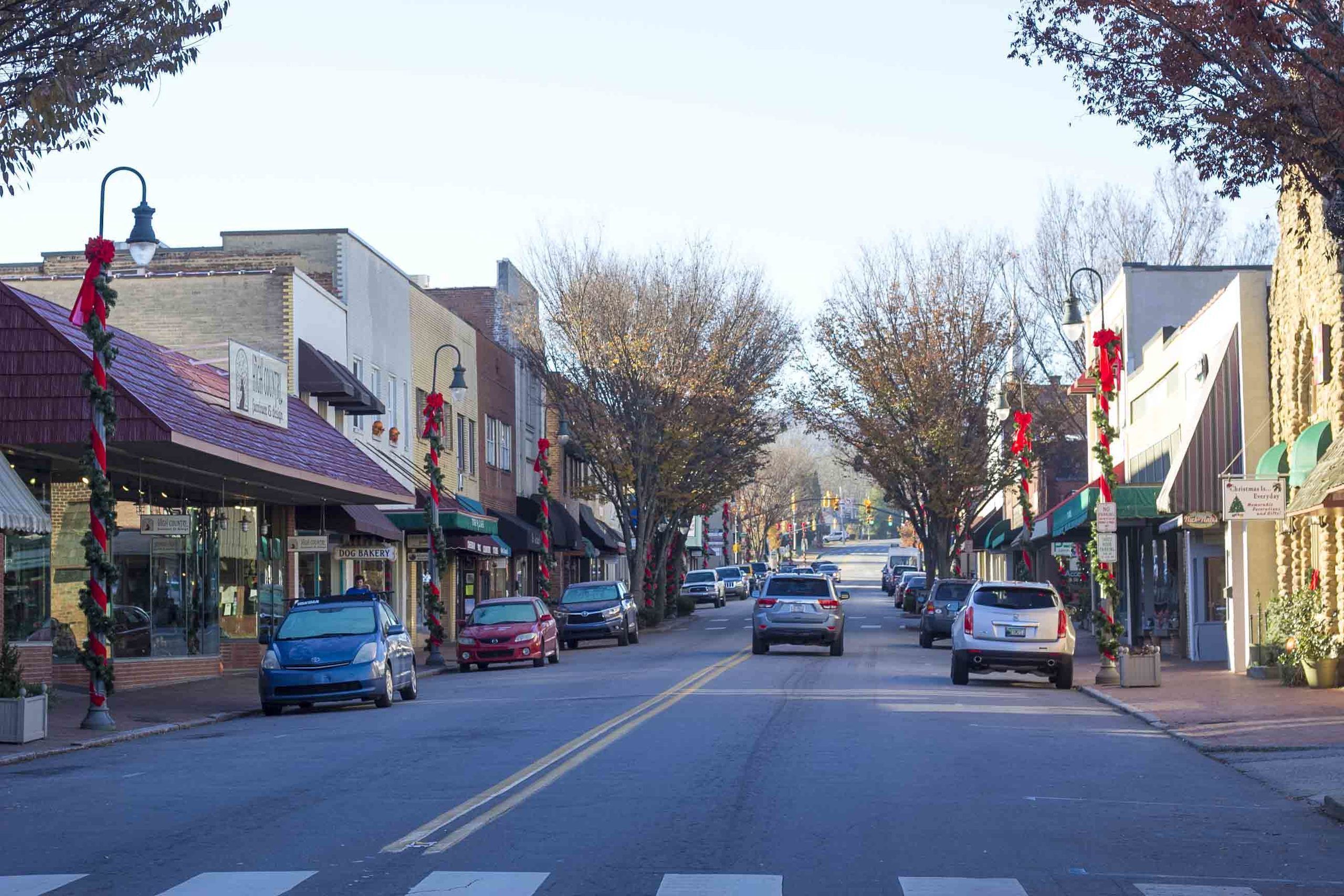 Waynesville WNC Real Estate Store