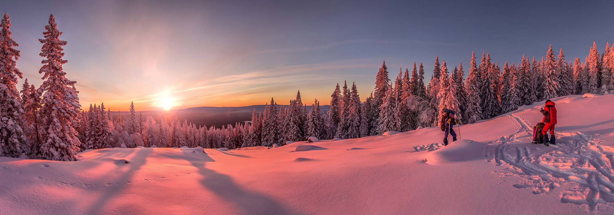 Full Service Real Estate